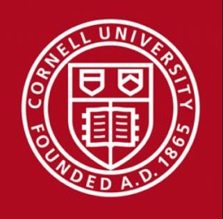 Cornell University Logo ICIE